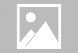 大香蕉尹人视频,揭秘网络红人的魅力与争议