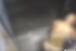 拉屎的视频,一场关于人体排泄的奇妙之旅