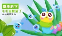 毛毛虫视频,从幼虫到蝴蝶的奇幻之旅