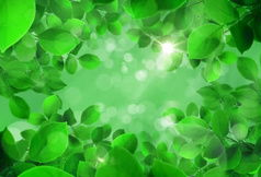 绿色视频,探索环保与可持续发展的视觉之旅